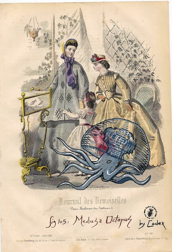 Medusa Octopus