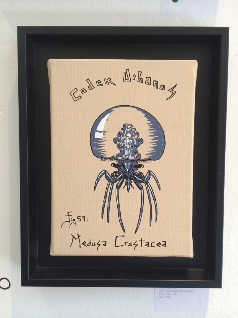 Medusa Crustacea