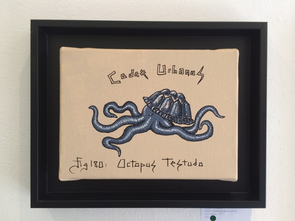 Octopus Testudo