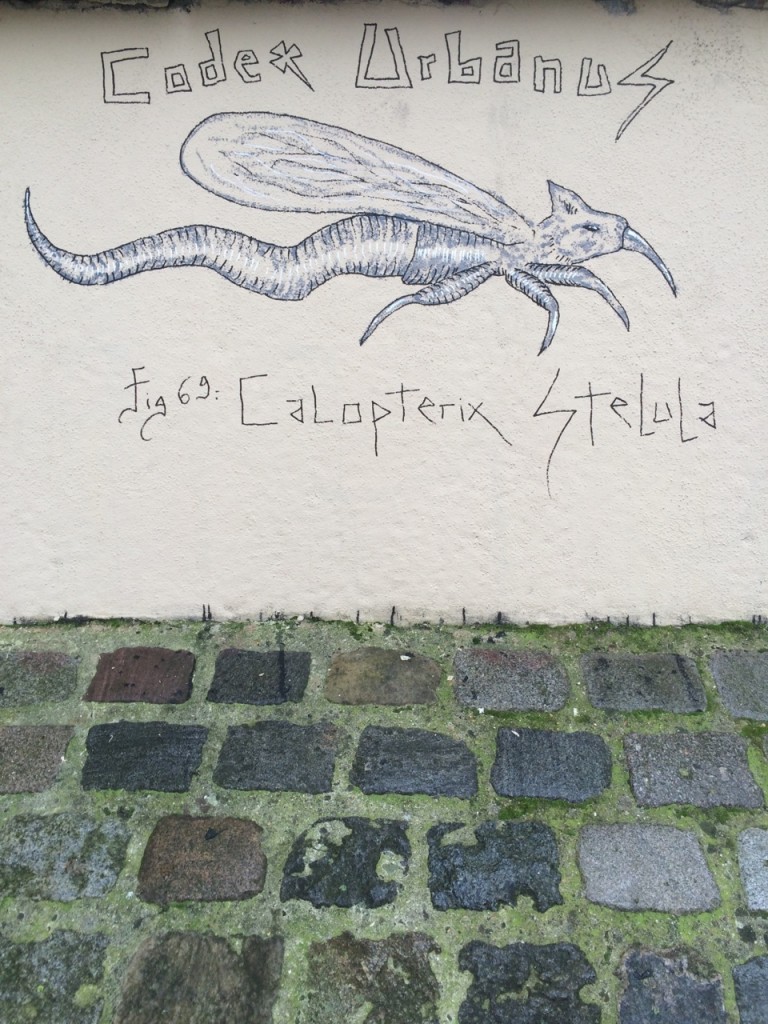 Calopteryx Stelula