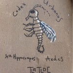 Hippcampus Ædes by Tlatloc