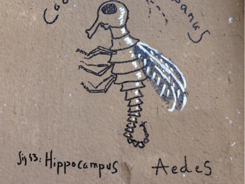 Hippcampus Ædes by Tlatloc