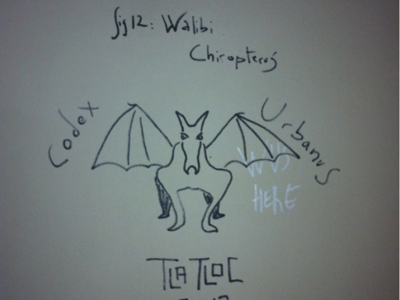 Walibi Chiropterus by Tlatloc