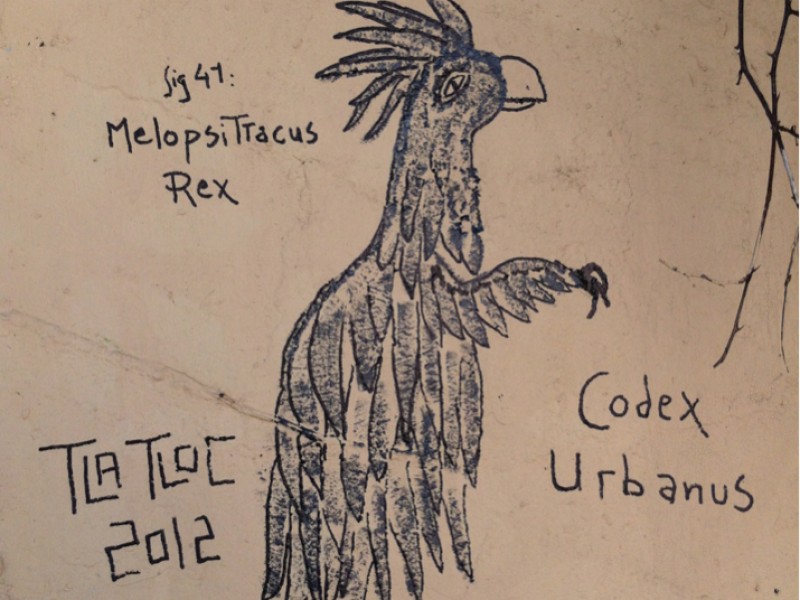 Melopsittacus Rex by Tlatloc