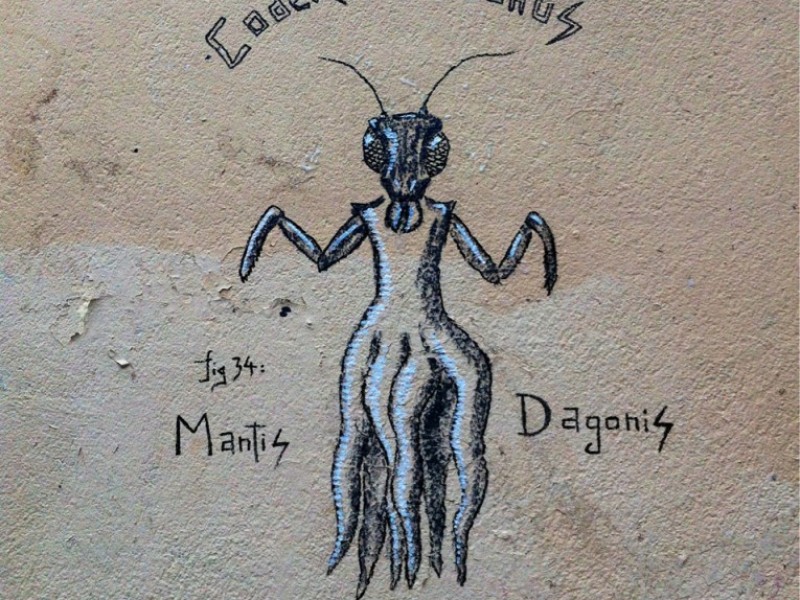 Mantis Dagonis by Tlatloc