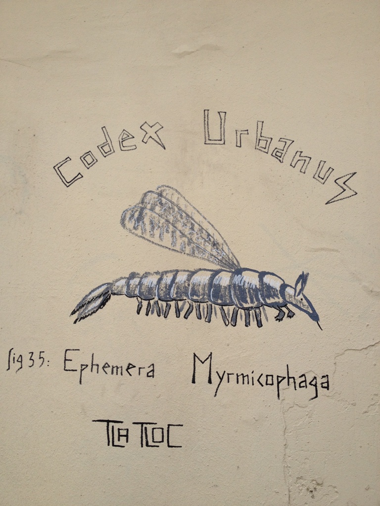 Ephemera Myrmicophaga