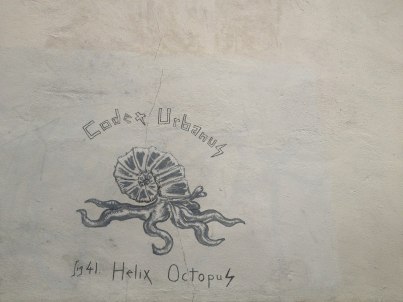 Helix Octopus, rue Antoine