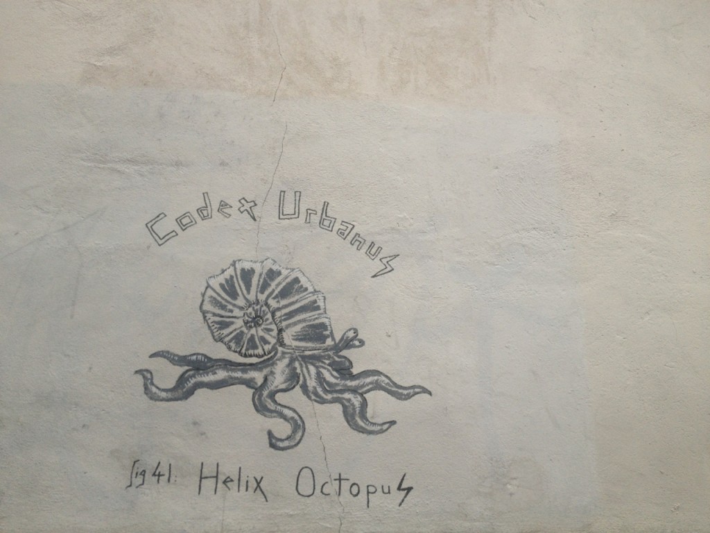 Helix Octopus