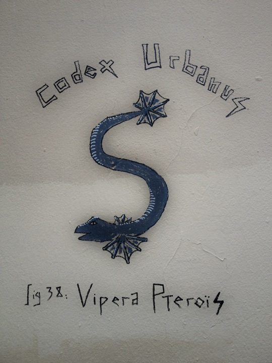 Vipera Pterois (2)