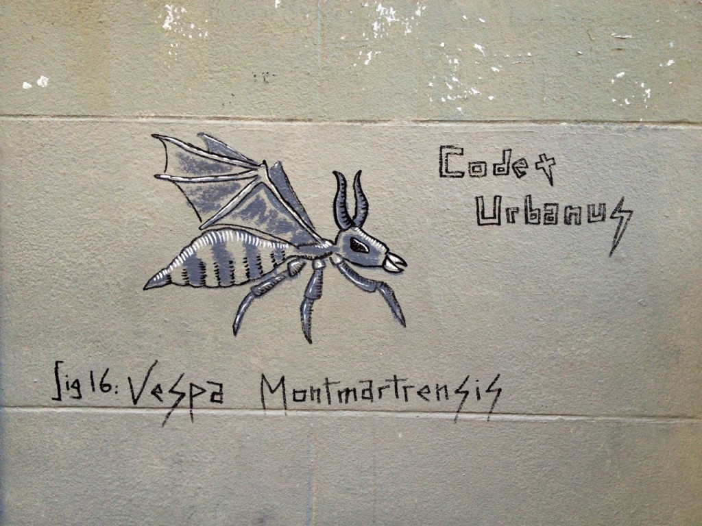 Vespa Montmartrensis