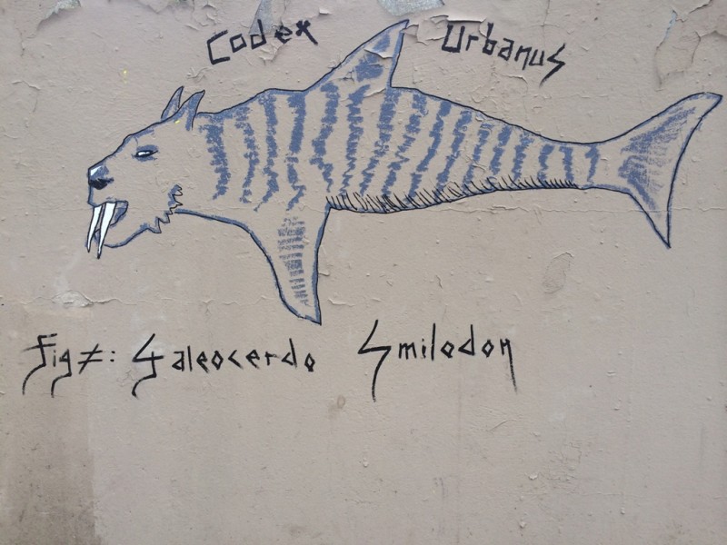 Galeocerdo Smilodon, Requin-Tigre
