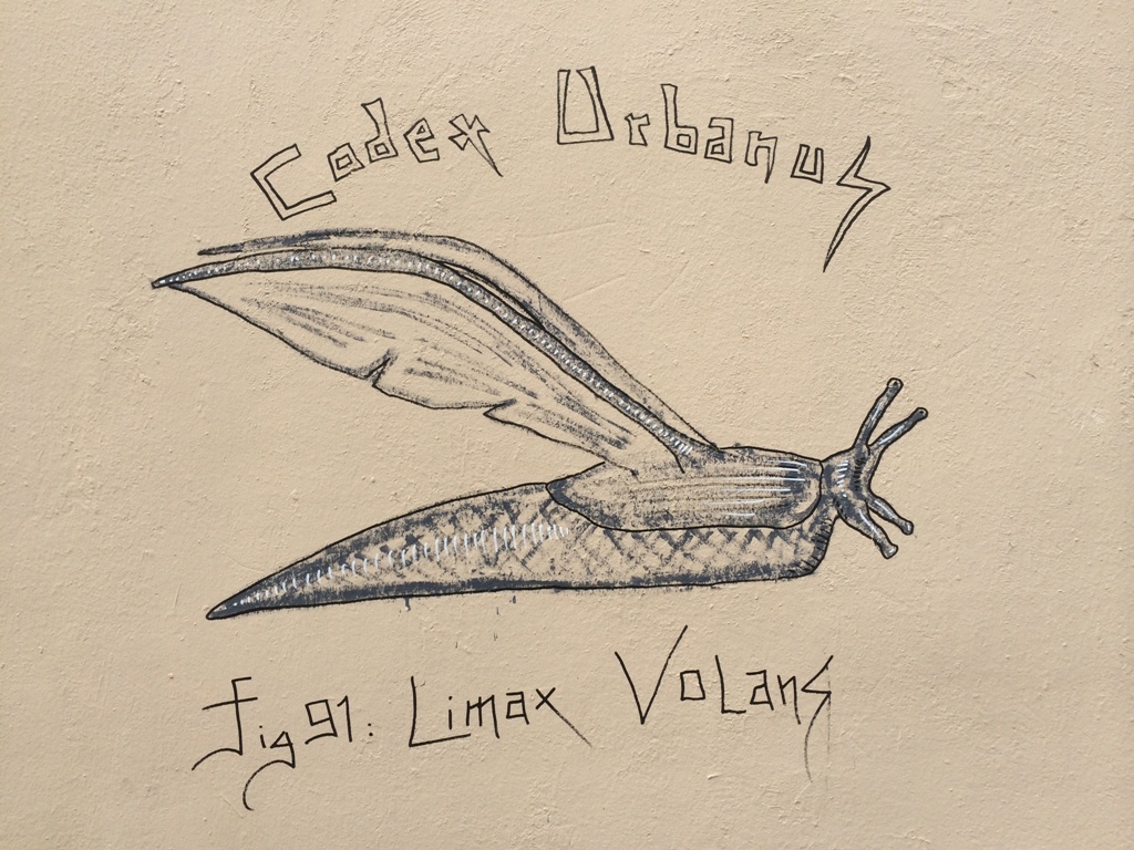 Limax Volans (2)