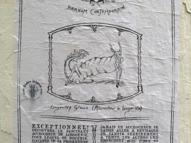 Codex Circus, Accrocheur de Longue-Vie