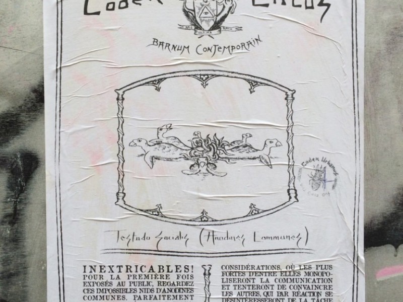 Codex Circus, Contemporary Barnum, Testudo Socialis