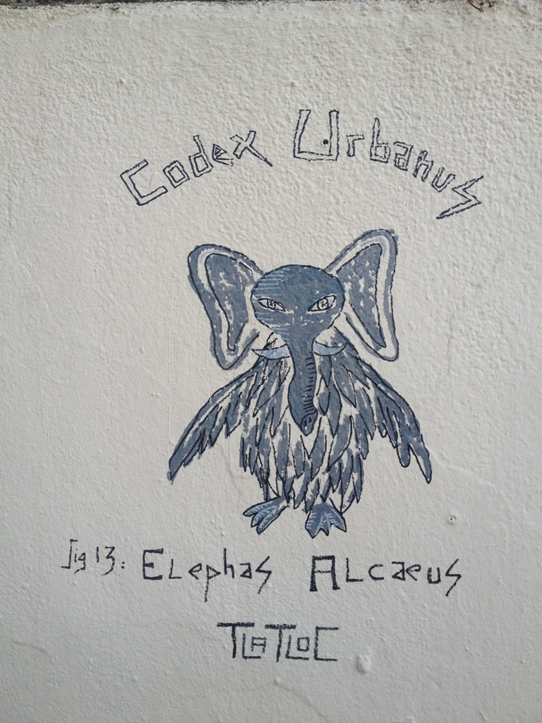 Elephas Alcaeus