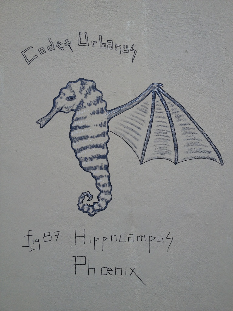 Hippocampus Phoenix