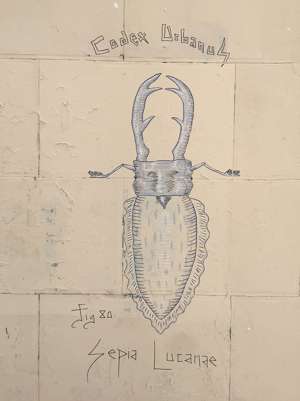 Codex Urbanus, Sepia Lucanæ, rue Chappe, Montmartre Street Art
